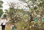 Chi tiền thu mua túi nilon trên cây để dọn rác cho vùng lũ