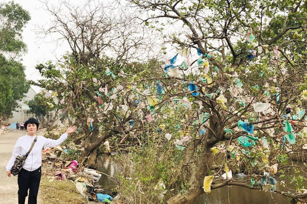 Chi tiền thu mua túi nilon trên cây để dọn rác cho vùng lũ