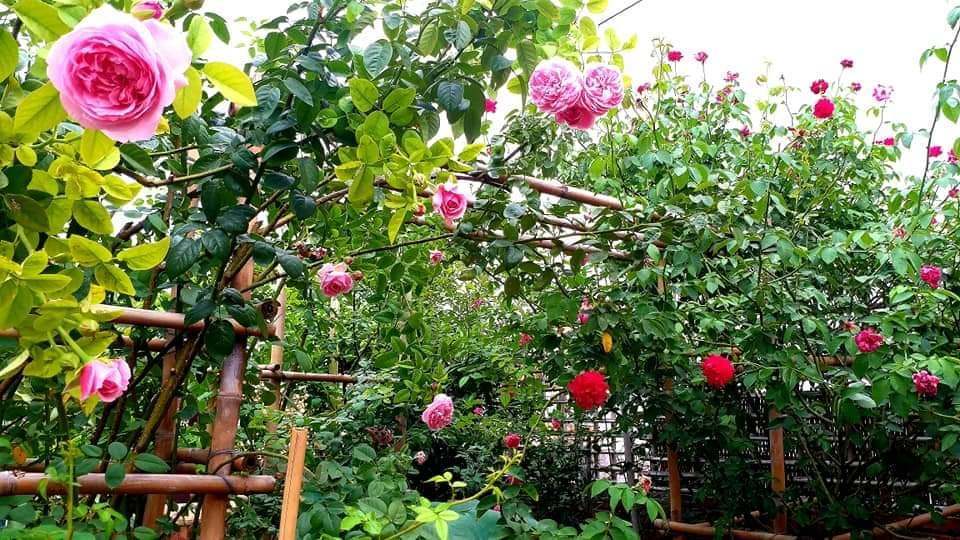 Những câu nói dối 'kinh điển' của đàn ông