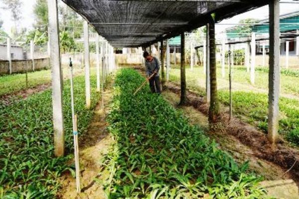 Định hướng những bước tiếp theo của chương trình nông thôn mới