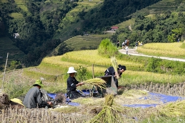 Hoàng Su Phì xây dựng NTM với nhiều cách làm sáng tạo