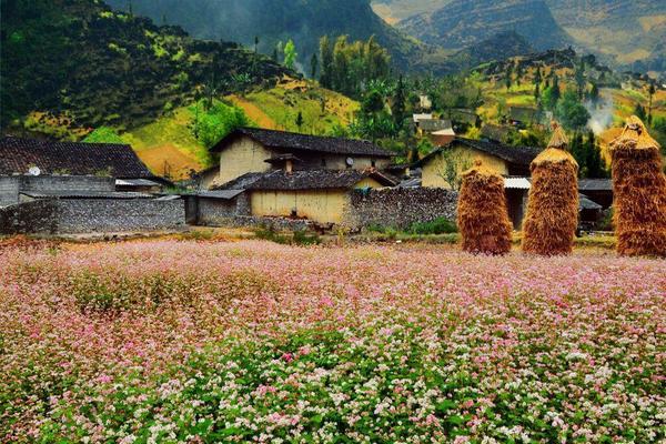 NTM Sủng Là: Thành lập Tổ tự quản bảo vệ môi trường