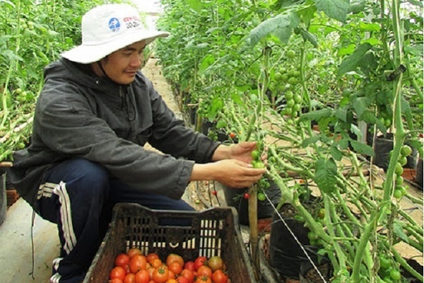 Hướng tới nông thôn mới thông minh trong giai đoạn 2021-2025