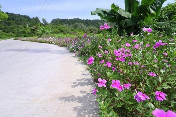 Xã đảo Đồng Tiến về đích nông thôn mới nâng cao