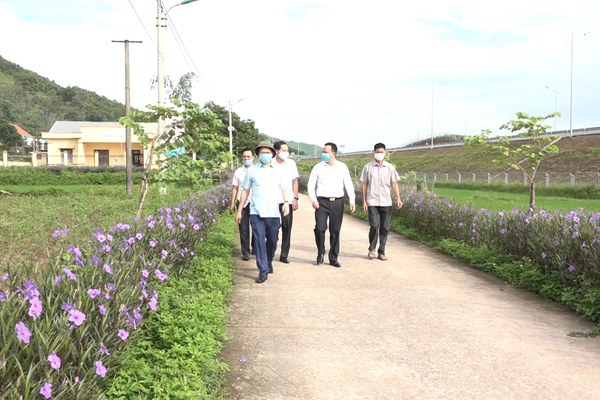Xã NTM mới kiểu mẫu Cẩm Hải ngày càng khang trang, sạch đẹp