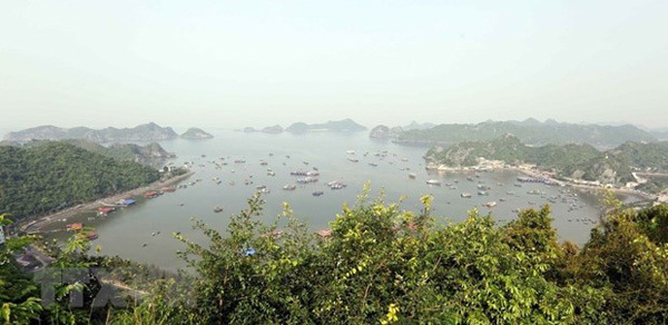 20 years since Vietnam joined World Biosphere Reserve network