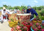 RCEP feared to pave the way for Chinese goods to flood Vietnamese market