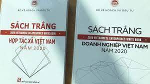 Năm 2020: Tổng cục thống kê biên soạn và công bố 2 cuốn sách trắng quan trọng