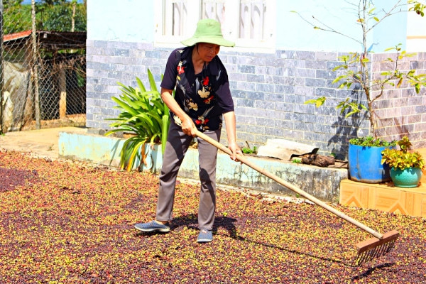 Hiến tạng con trai cứu 6 người, bà mẹ Lâm Đồng bị xa lánh