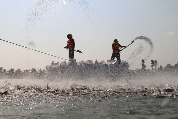 An Giang: Kiến tạo chính sách, chủ động thích ứng với biến đổi khí hậu