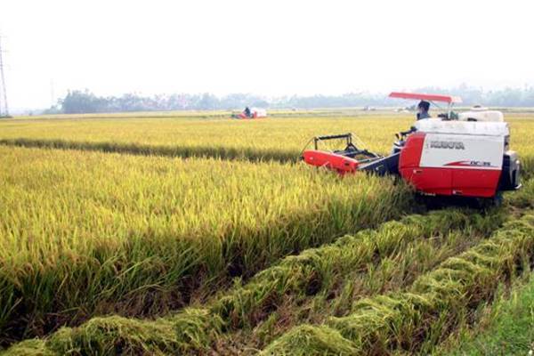 Nỗ lực liên kết vùng, giải tỏa những điểm nghẽn... kiến tạo ĐBSCL thịnh vượng