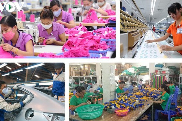 Thanh Hóa: Thành công bước đầu của phương pháp thu thập thông tin trực tuyến điều tra doanh nghiệp 2020