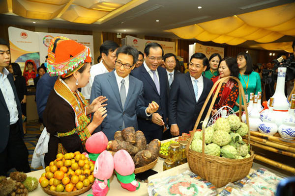 HCM City connects with Northeast region to revive tourism market