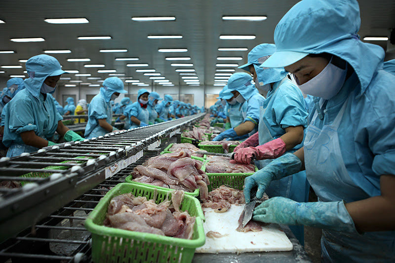 Cập nhật nhiều tiến bộ khoa học kỹ thuật trong lĩnh vực thủy sản