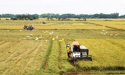 An Giang đặt mục tiêu vào nhóm dẫn đầu về kinh tế vùng ĐBSCL