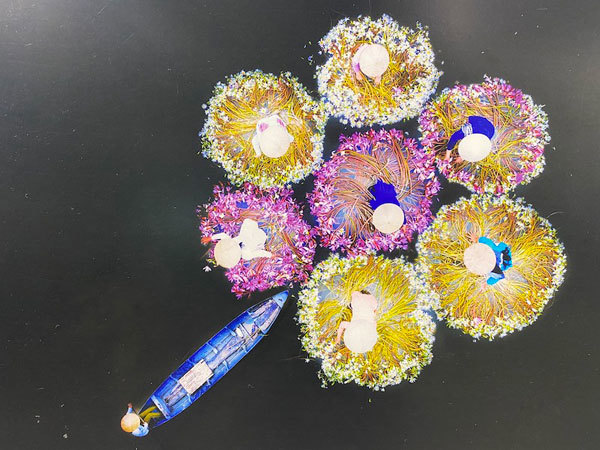 Vietnam's beauty in photographers' eyes