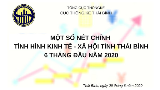 Cục thống kê Thái Bình nâng chất phổ biến thông tin thống kê