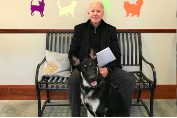 Tổng thống Mỹ đắc cử Joe Biden bị thương