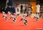 Xem học sinh Trung Quốc tham gia thi đấu người máy mini