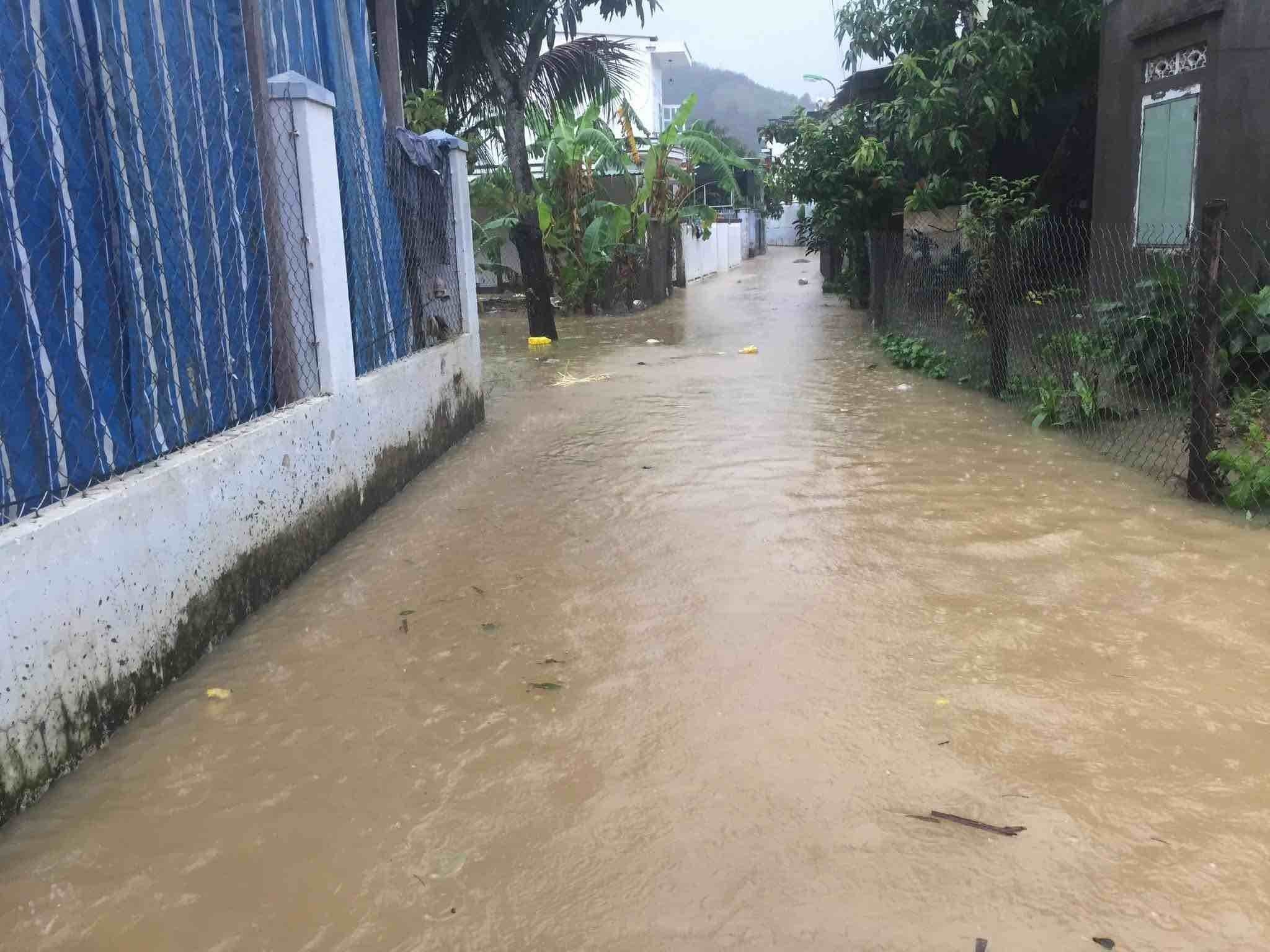 Hơn 15.000 sinh viên Trường ĐH Nha Trang chuyển qua học trực tuyến vì mưa lũ