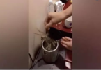 Vì sao phải đổ nước sôi vào bồn cầu ngay khi nhận phòng khách sạn?