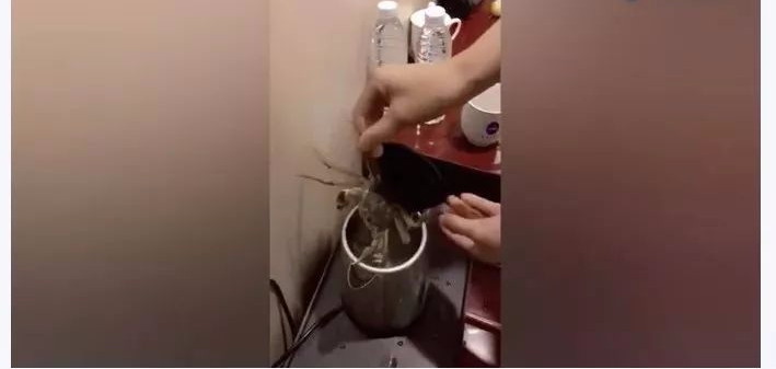 Vì sao phải đổ nước sôi vào bồn cầu ngay khi nhận phòng khách sạn?