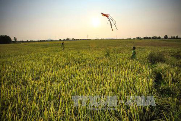 Water issues at the centre of Mekong Delta planning