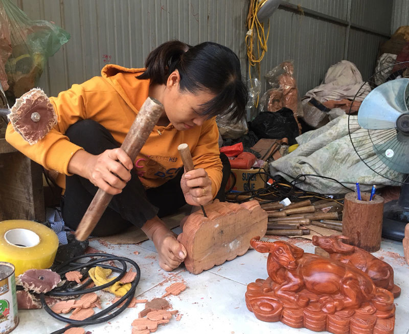 Bán đàn trâu 500 con, thu ngay 300 triệu đồng ăn Tết