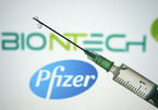 Anh phê duyệt khẩn cấp vắc xin của Pfizer để sử dụng vào tuần tới