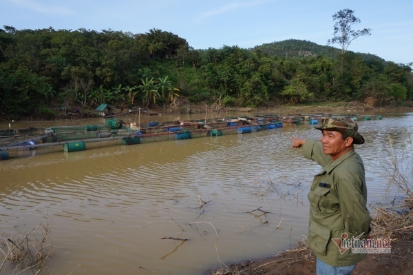 Thủy điện xả lũ cuốn trôi hàng chục bè cá của dân ở Đắk Nông