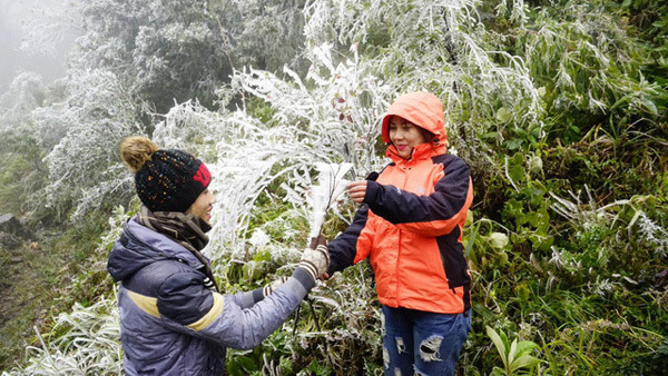 Dự báo thời tiết 7/12