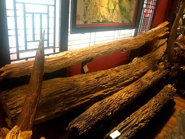 Bộ sưu tập gỗ trầm hương độc nhất vô nhị ở Việt Nam