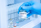 Ai được lựa chọn thử nghiệm vắc xin Covid-19 của Việt Nam?