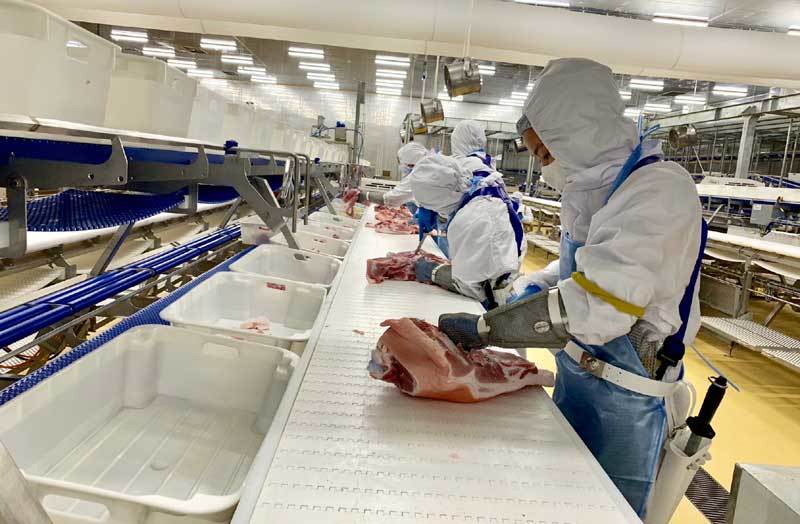 Nhiều chính sách ưu đãi, doanh nghiệp đầu tư hàng chục ngàn tỷ vào nông nghiệp