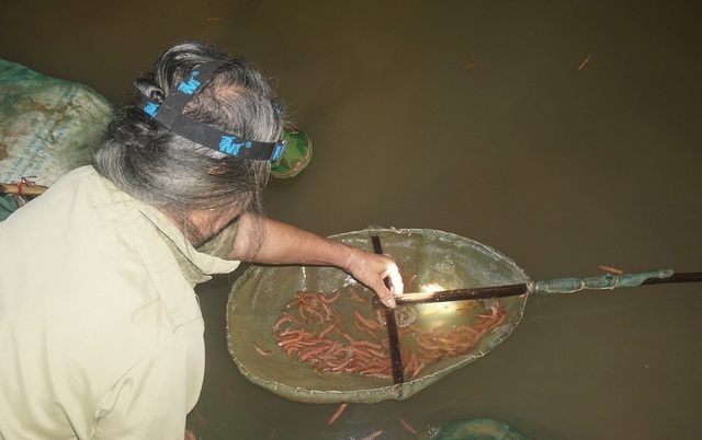 Mỗi ngày đút túi gần chục triệu nhờ vớt 'lộc' đùn từ đất lên