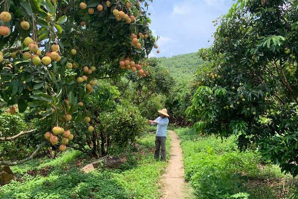 Bắc Giang: Chống dịch nhưng phải đảm bảo đa mục tiêu