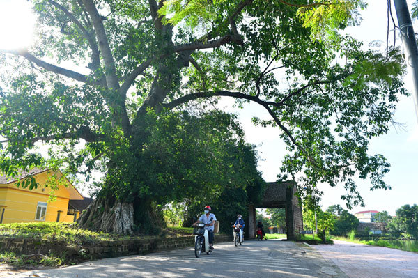 Exploring Duong Lam, a typical ancient village in northern Vietnam