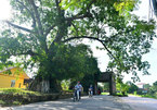 Exploring Duong Lam, a typical ancient village in northern Vietnam