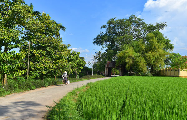Exploring Duong Lam, a typical ancient village in northern Vietnam
