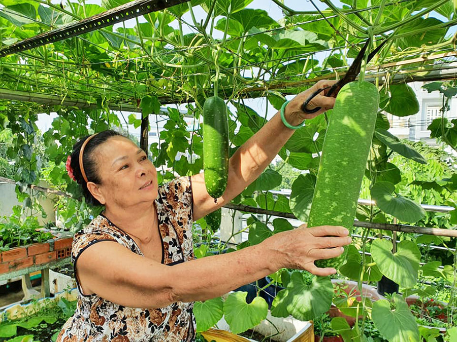 'Thuế bất động sản hàng năm không thể bàn lùi'