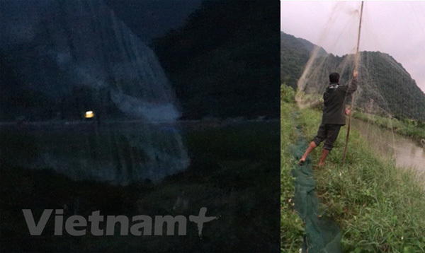 Wild bird hunting and poaching rampant on Cat Ba Island