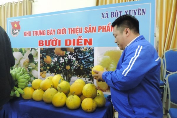 Hỗ trợ thanh niên ngoại thành Hà Nội khởi nghiệp