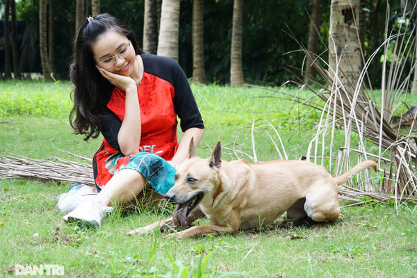Những chú chó Phú Quốc có giá hàng trăm triệu đồng ở Hà Nội