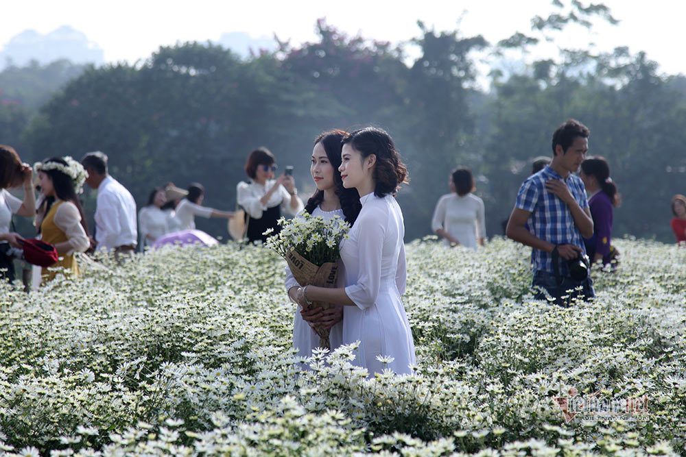 Những 'siêu nhân lý thuyết' tích phân, đạo hàm