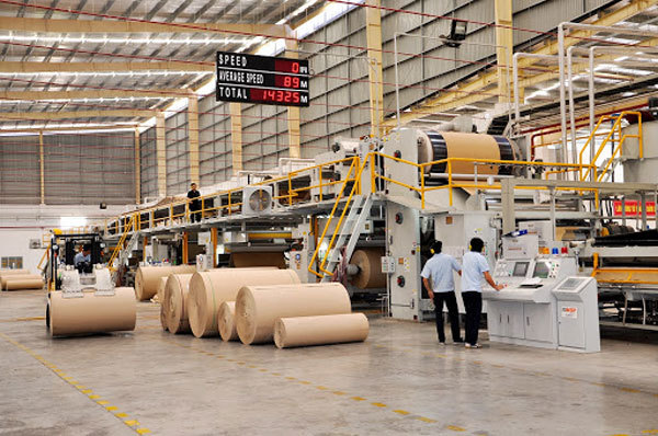 Tỷ phú Thái mua đứt doanh nghiệp Việt, cả dàn lãnh đạo đồng loạt mất ghế