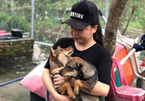 Woman in Da Nang runs shelter for homeless dogs and cats