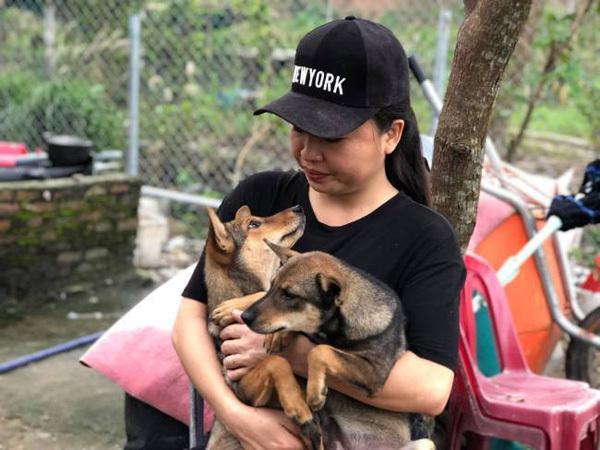 Woman in Da Nang runs shelter for homeless dogs and cats