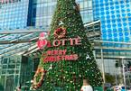 Close-up of "giant" Christmas trees in Hanoi