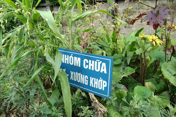 Hà Nội tăng cường y, dược cổ truyền trong khám chữa bệnh