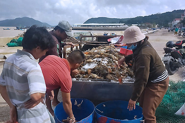 Chưa bao giờ có: Hải sản ‘nhà giàu’ tràn vỉa hè, mua cả mâm về ăn